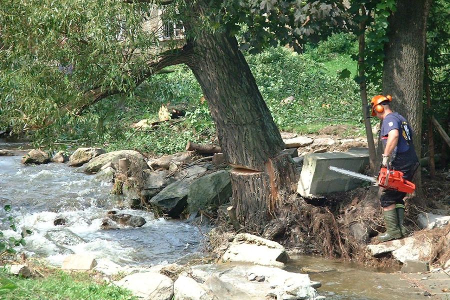 2002 - Elbeflut in Mulda/Sachsen